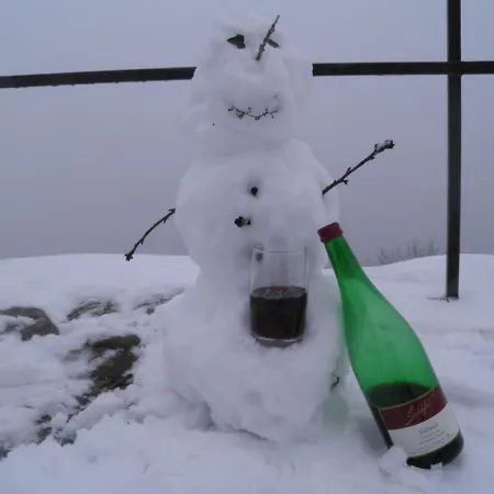 Weingut-Ferienhof Schaefer Gocklingen Zewnętrze zdjęcie