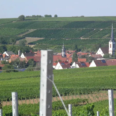 Weingut-Ferienhof Schaefer Gocklingen Zewnętrze zdjęcie