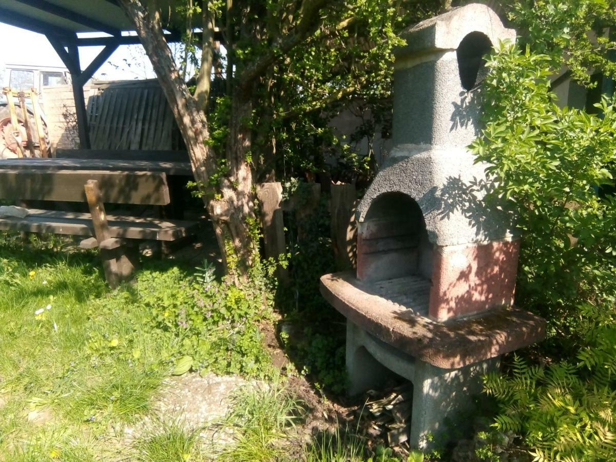 Apartment Weingut-ferienhof Schaefer